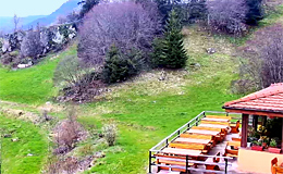 Веб камера Гела. Панорама горной природы у отеля «Гела» (Болгария)