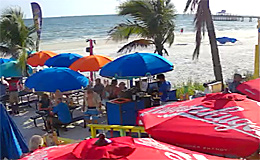 Пляжное кафе Salty Crab Bar and Grill (США)